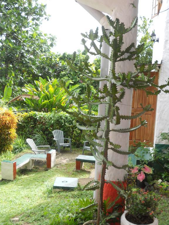 Drapers San Guest House Port Antonio Exterior foto